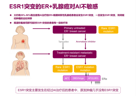 药物百科| 氟维司群—晚期乳腺癌内分泌治疗的“里程碑”